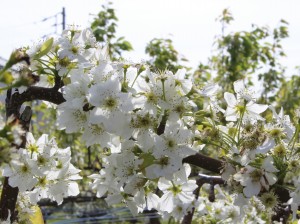 2015.4.20