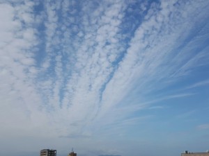 20150702_080454~02 20150702_080454~02