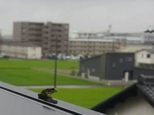 20150718_080305-1~01