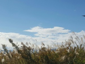20151110_123319-1~01