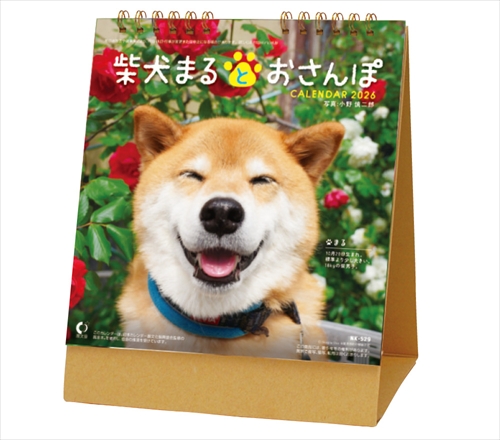 NK-529 卓上カレンダー柴犬まるとおさんぽ画像1
