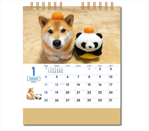 NK-529 卓上カレンダー柴犬まるとおさんぽ画像2