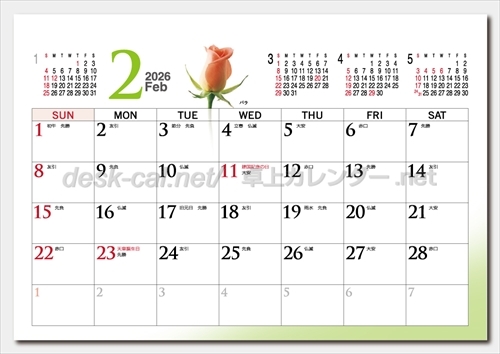 SP-332 ファンタスティック・フラワー画像2